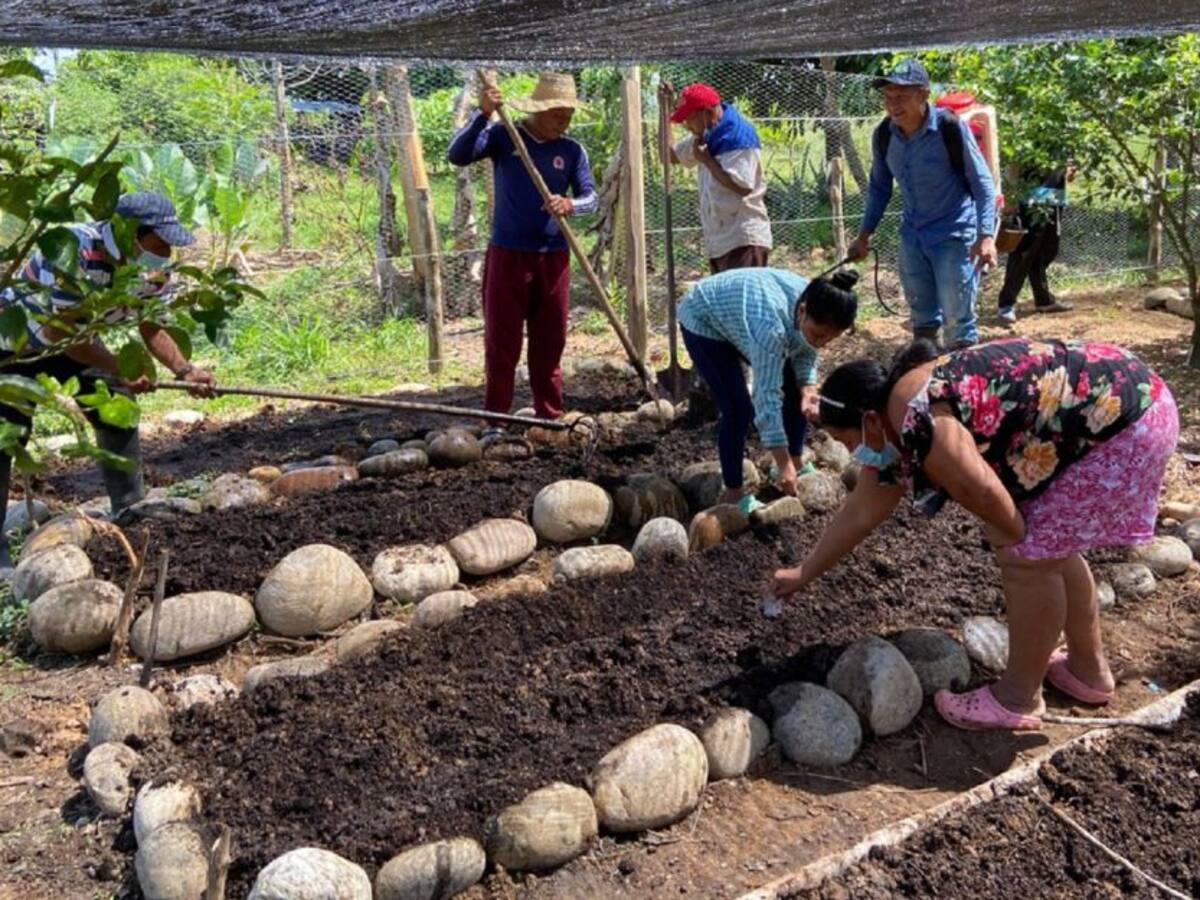Retorno y reubicación para víctimas del conflicto armado de Huila y Caquetá