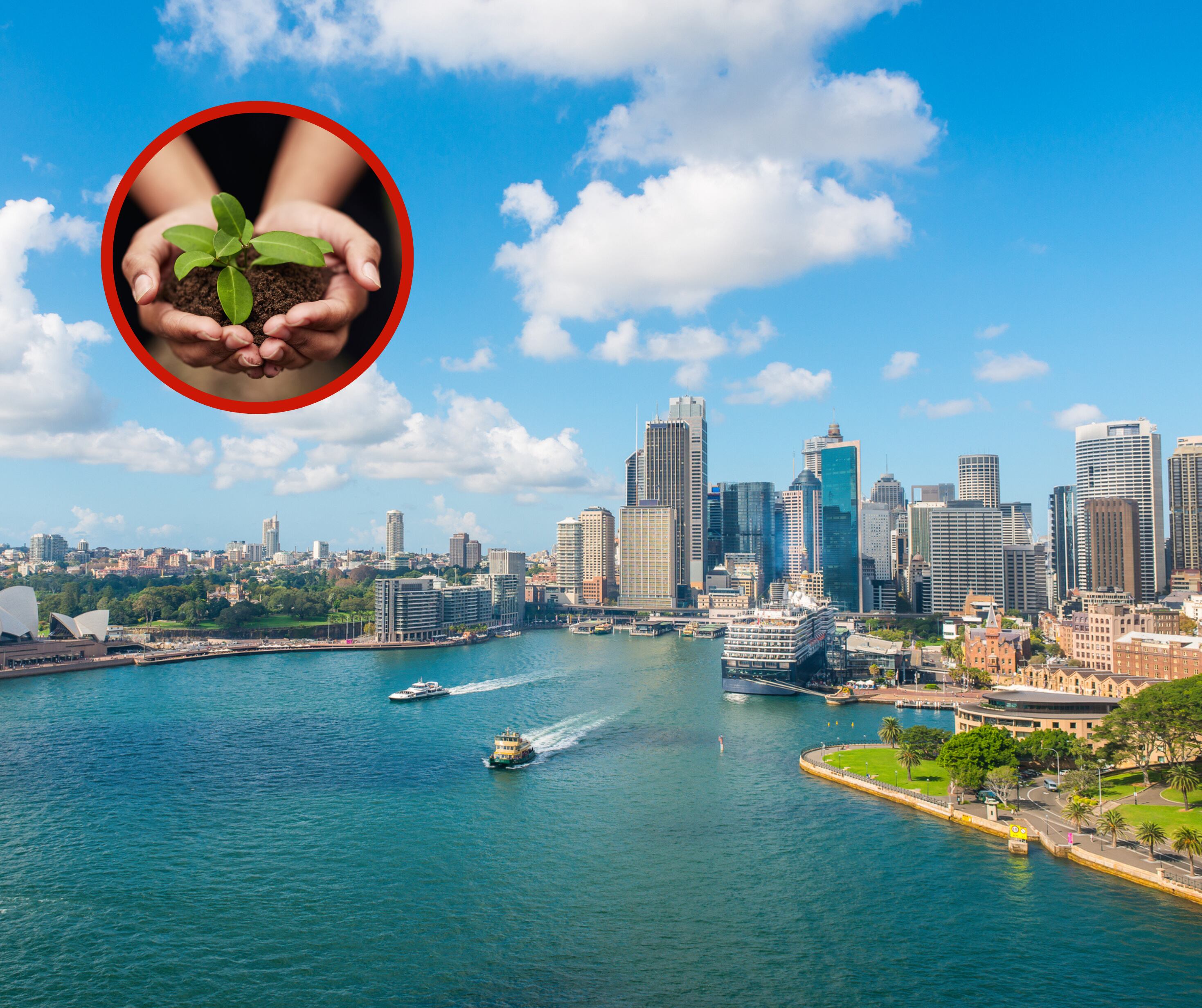 Ciudad de Sídney junto a unas manos sosteniendo una planta (Fotos vía Getty Images)