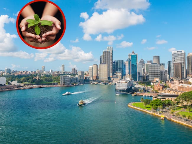 Ciudad de Sídney junto a unas manos sosteniendo una planta (Fotos vía Getty Images)