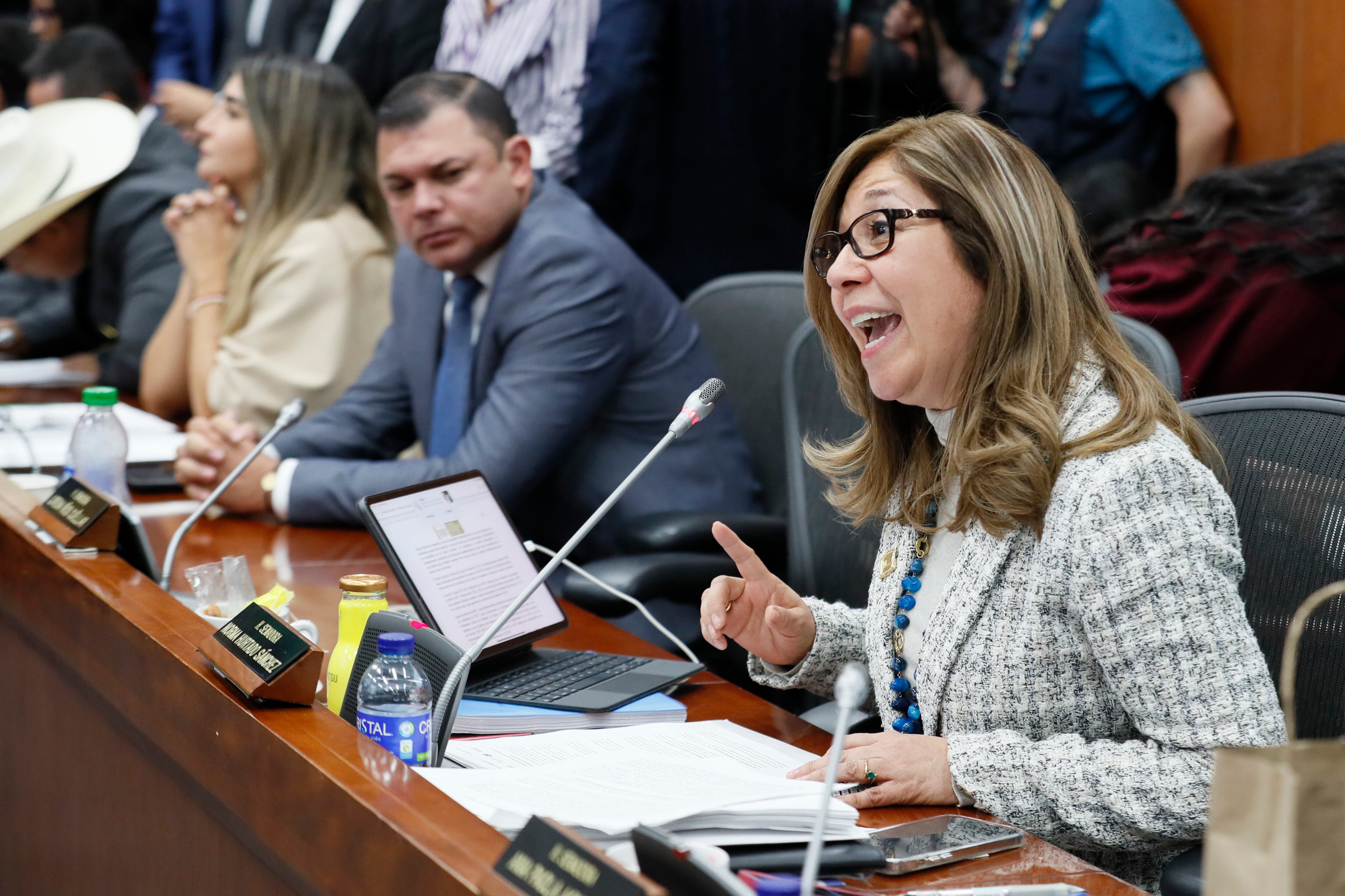 La senadora de la U, Norma Hurtado. Foto: Colprensa 