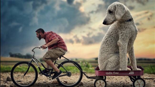 Juji y Christopher viven diferentes aventuras todos los días gracias a Photoshop. Foto: En Twitter: @iampink