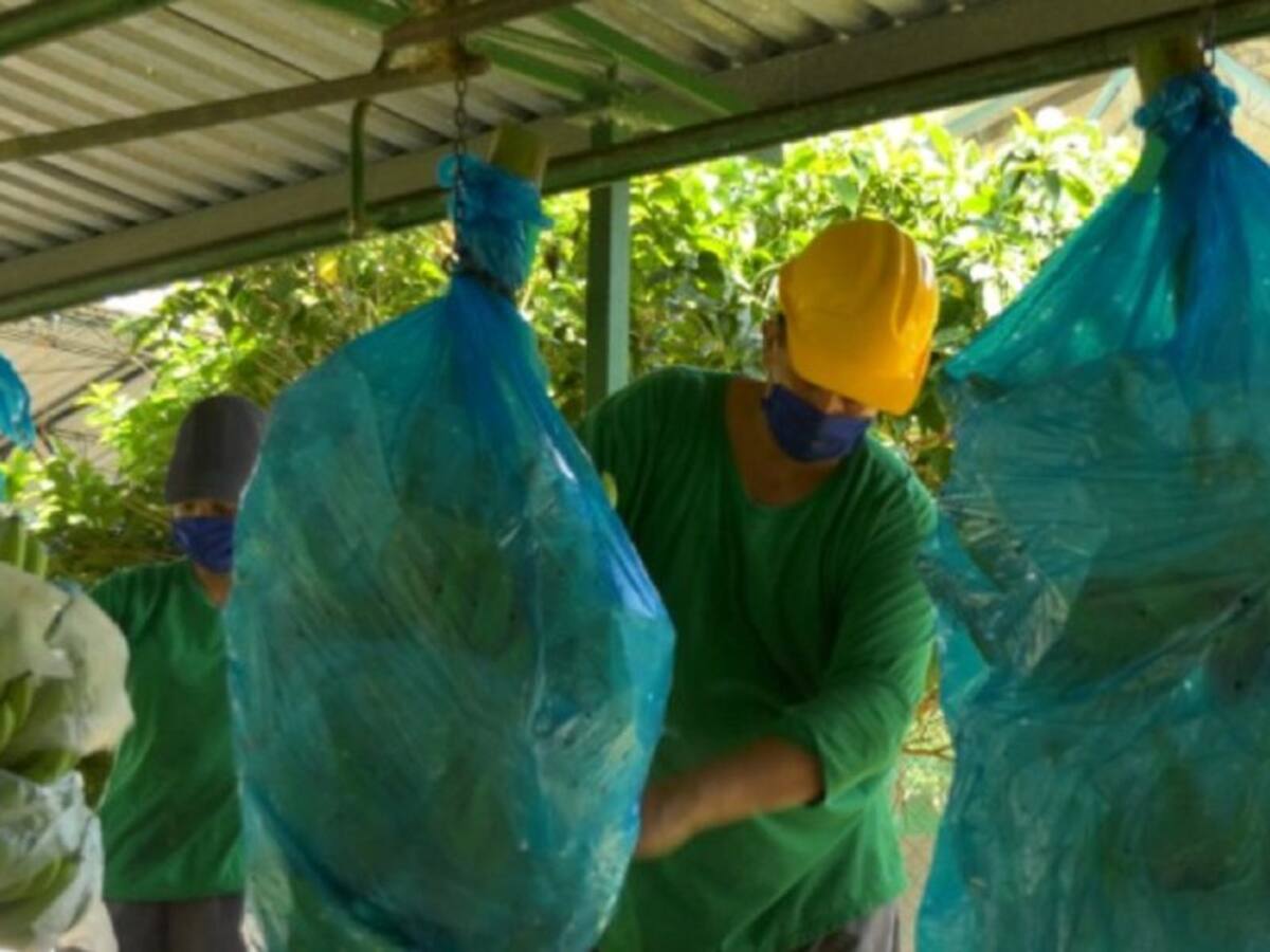 Campesino pudo haber contagiado a un número indeterminado de personas
