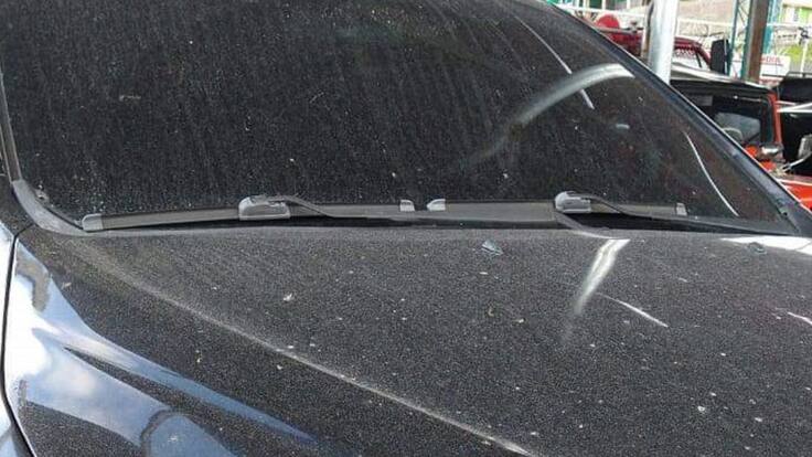 Director de Udegerd, César Jaramillo