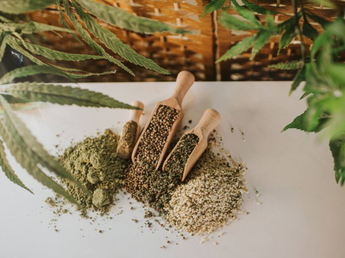 Asociaciones de cannabis piden dialogar sobre el proyecto de ley de cáñamo