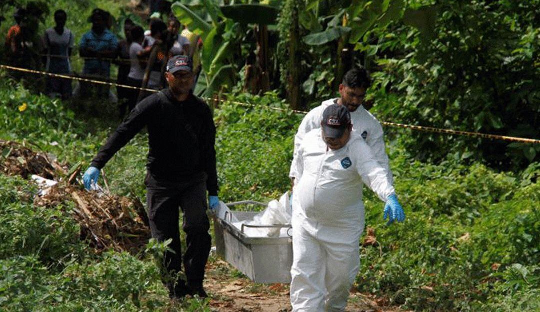 Los hechos ocurrieron en los municipios de Gigante y Pitalito. 