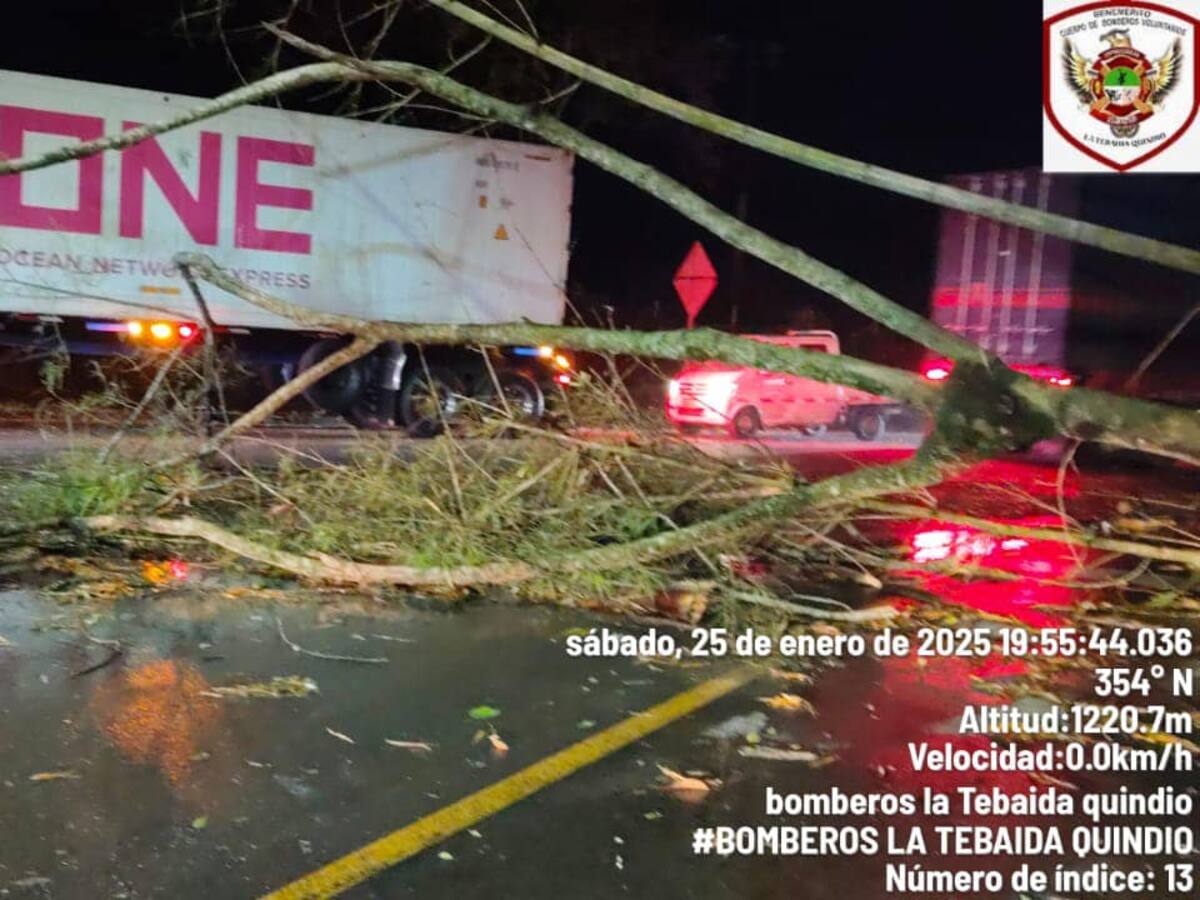 12 Viviendas afectadas y 16 árboles caídos por vendaval en La Tebaida, Quindío