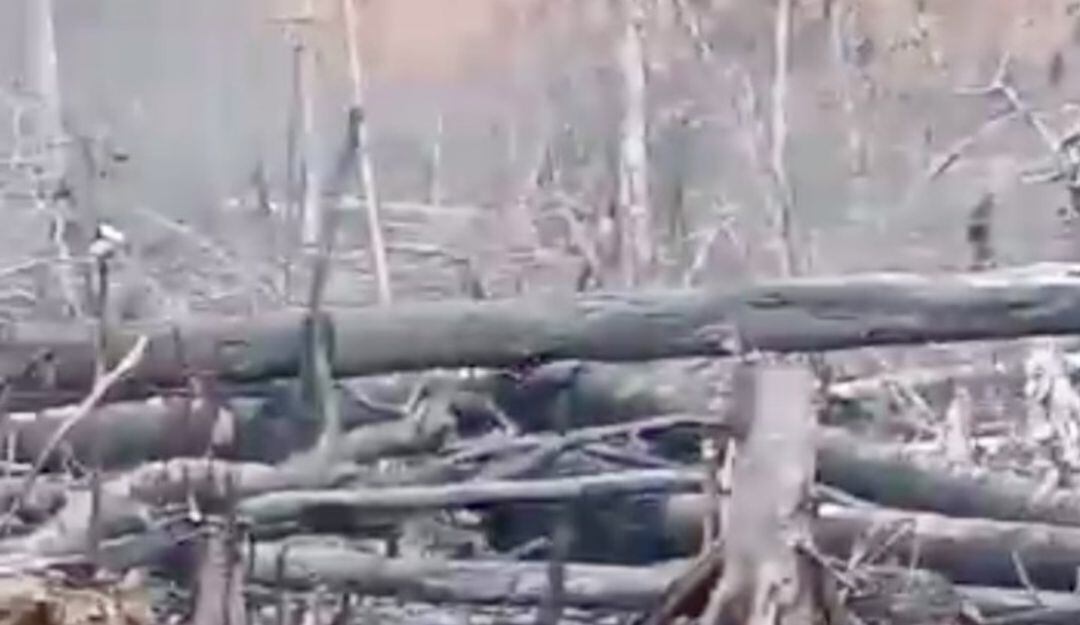 La zona también está habitada por disidencias de las Farc donde según testigos