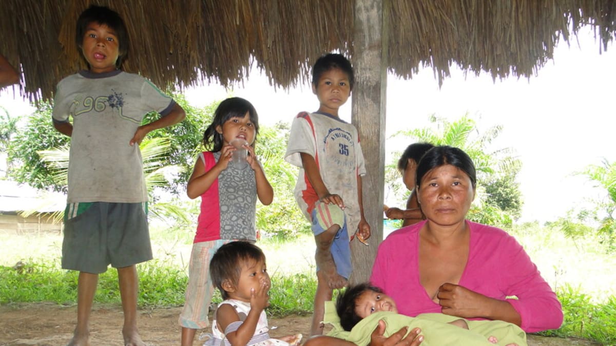 Procuraduría pide respuestas a violencia sexual contra menores indígenas en Guaviare