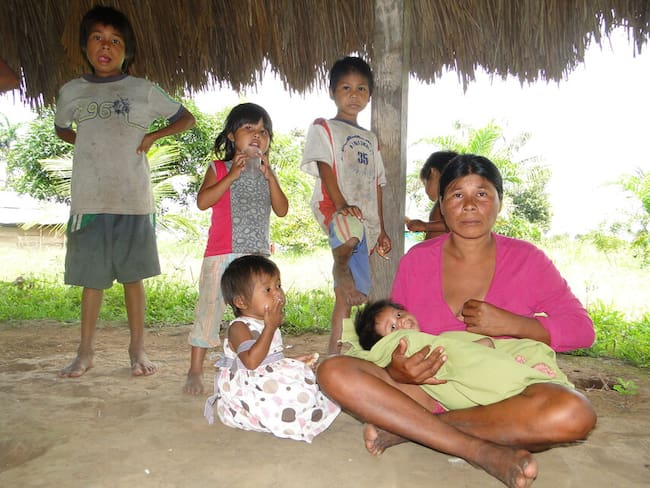 Procuraduría pide respuestas a violencia sexual contra menores indígenas en Guaviare
