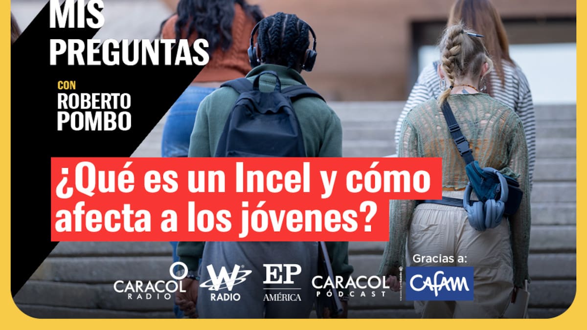 ¿Qué es un Incel y por qué es un tema grave?
