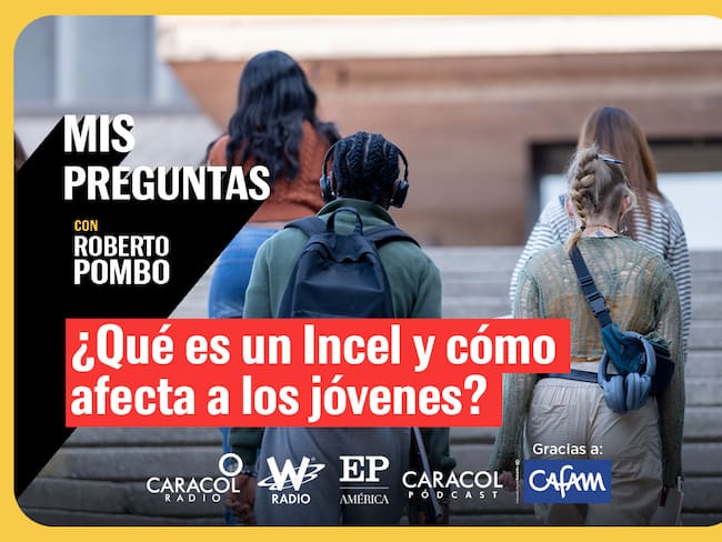 ¿Qué es un Incel y por qué es un tema grave?