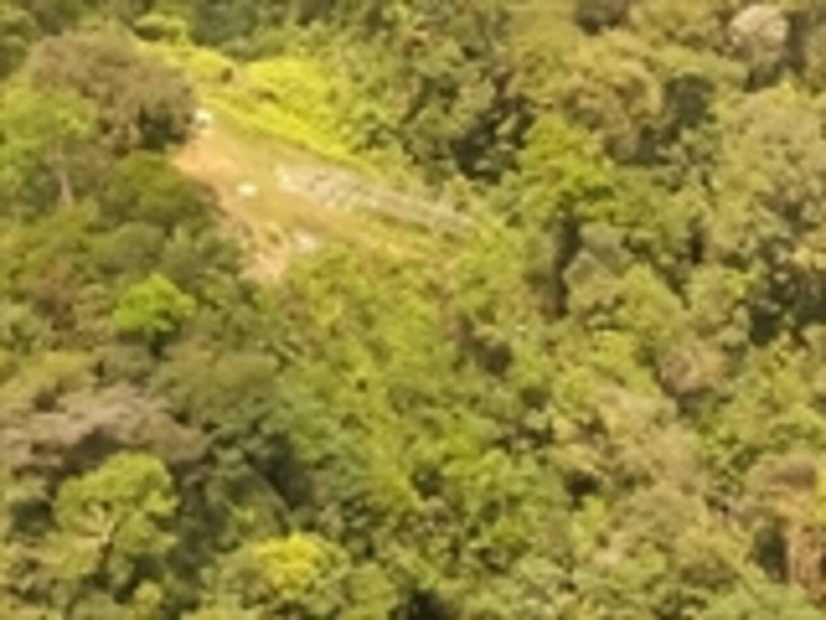 Atentado a torre eléctrica en Buenaventura es para presionar al gobierno