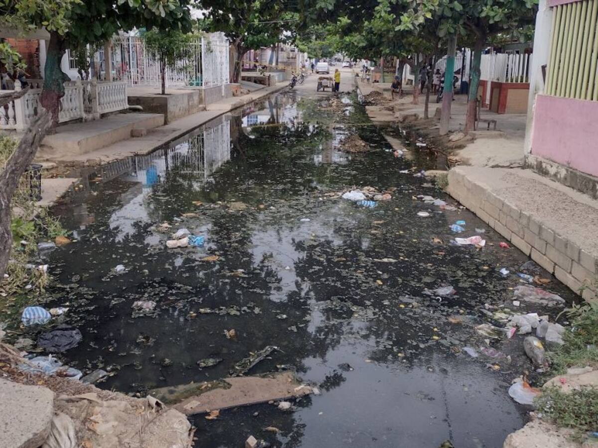 Cartagena no reporta muertes por dengue en el primer trimestre: Dadis