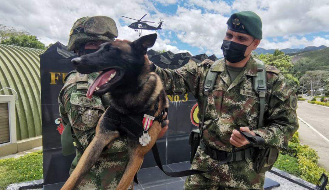 Killer ha sido condecorado por su habilidad de detectar estas trampas mortales. 