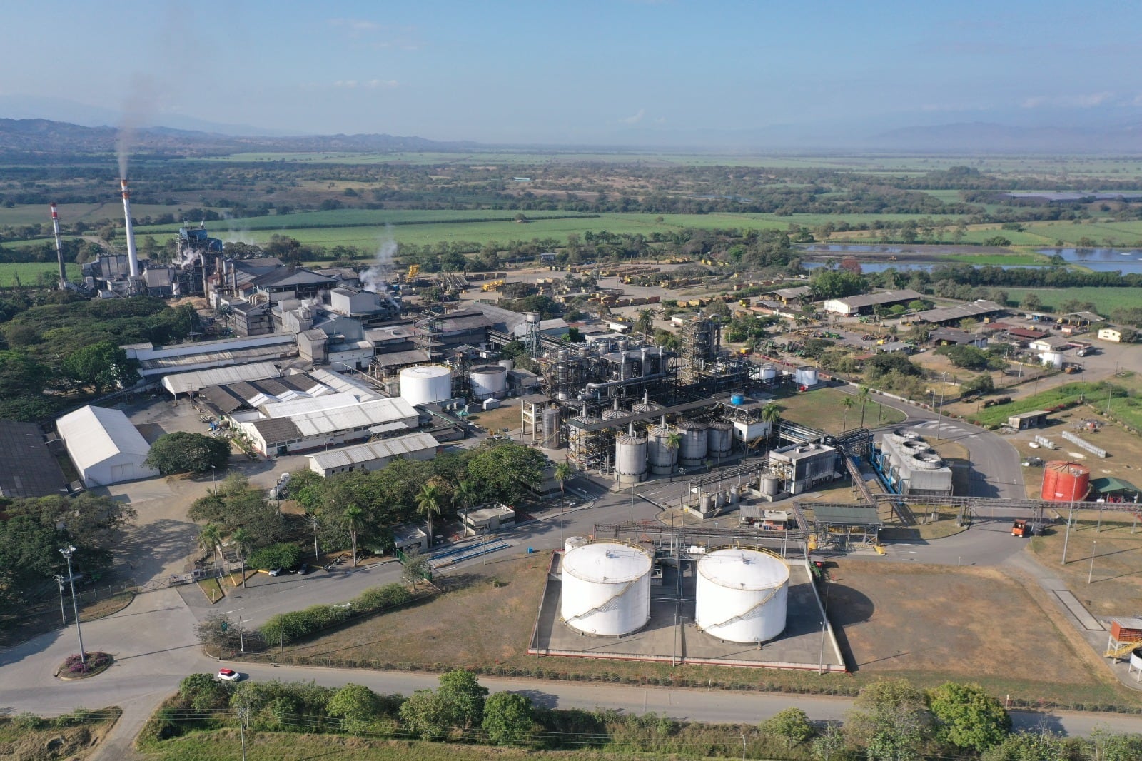 Fotos: Grupo Agroindustrial Riopaila Castilla