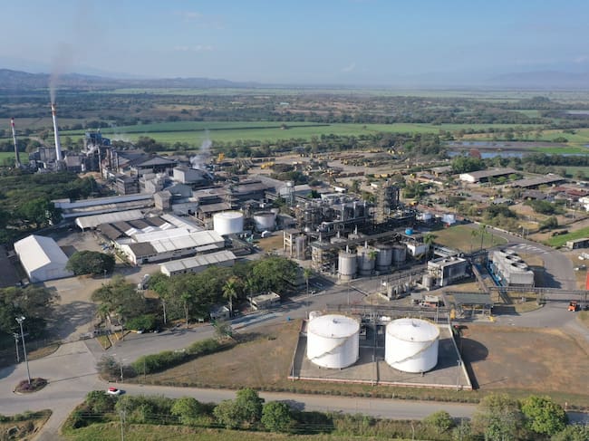 Fotos: Grupo Agroindustrial Riopaila Castilla