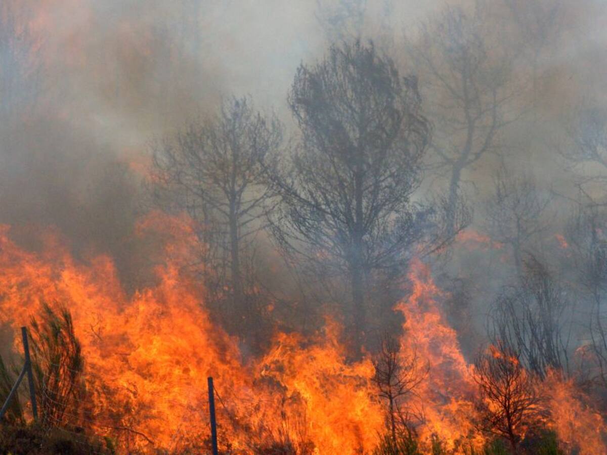 99% de los incendios en el Meta son causados por manos criminales
