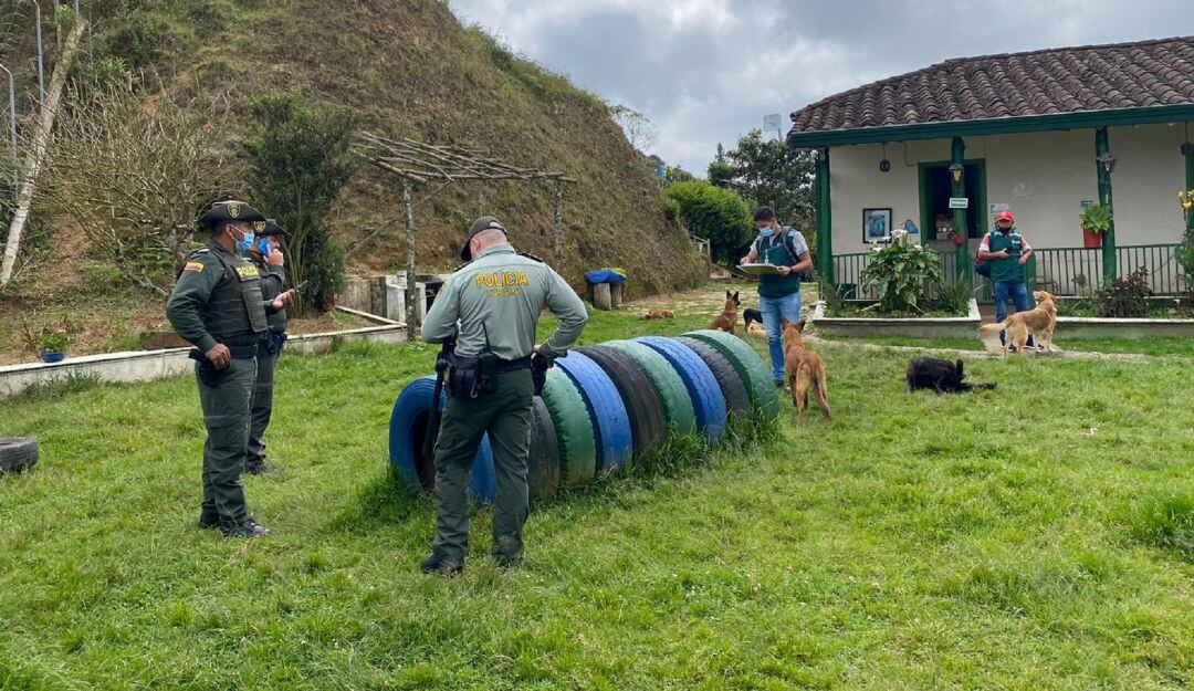 Fundación de perros en el Oriente de Antioquia.