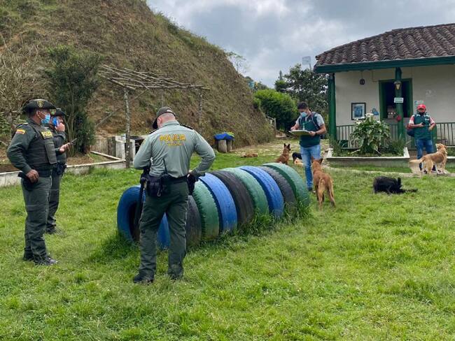 Fundación de perros en el Oriente de Antioquia.