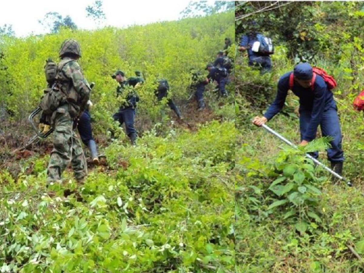 Hombre muerto en Tarazá era mediador entre ejército y campesinos: Esposa