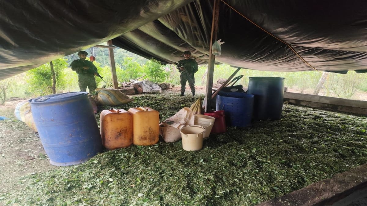 Ejército desmanteló laboratorio de coca de las disidencias de las Farc en el sur del Cauca