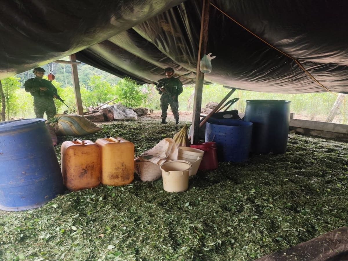 Ejército desmanteló laboratorio de coca de las disidencias de las Farc en el sur del Cauca