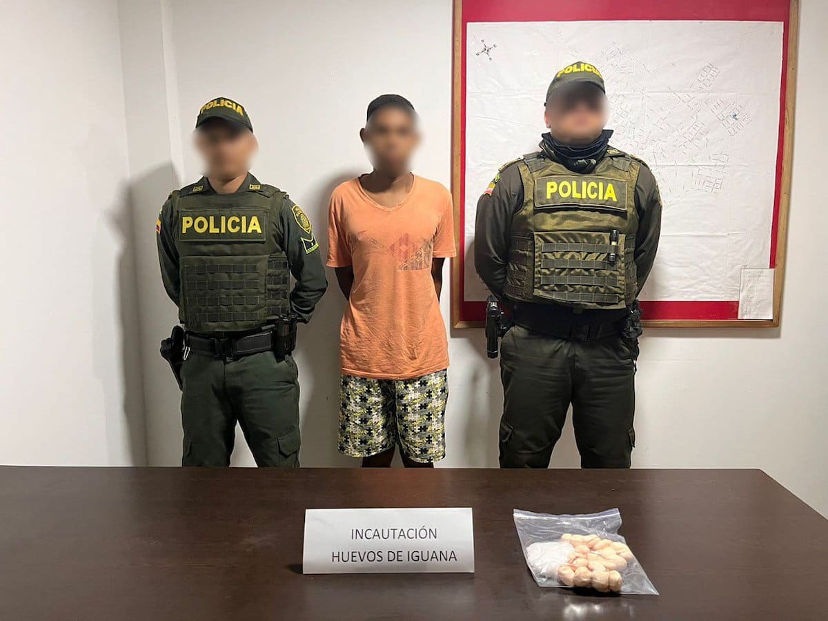 Dos capturados por vender huevos de iguana en Turbaco y Santa Rosa de Lima