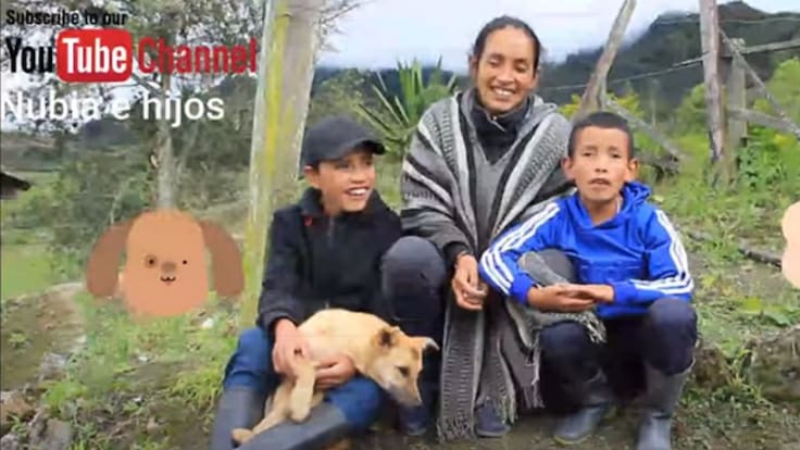 Campesinos youtubers recolectan donaciones para animales del campo
