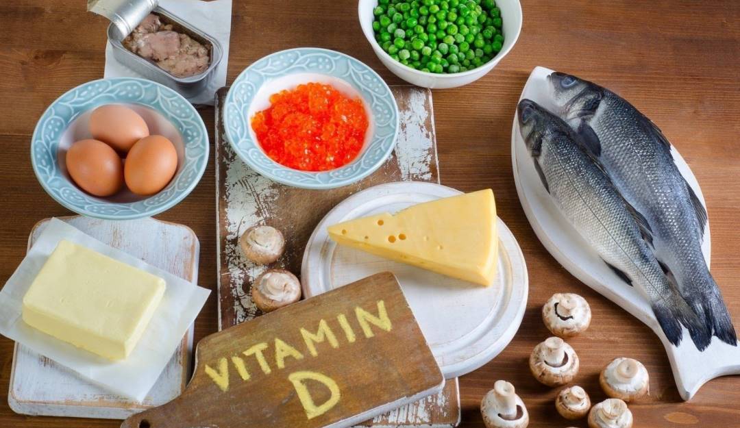 77 organizaciones de la sociedad civil piden mandato alimentario a los candidatos presidenciales