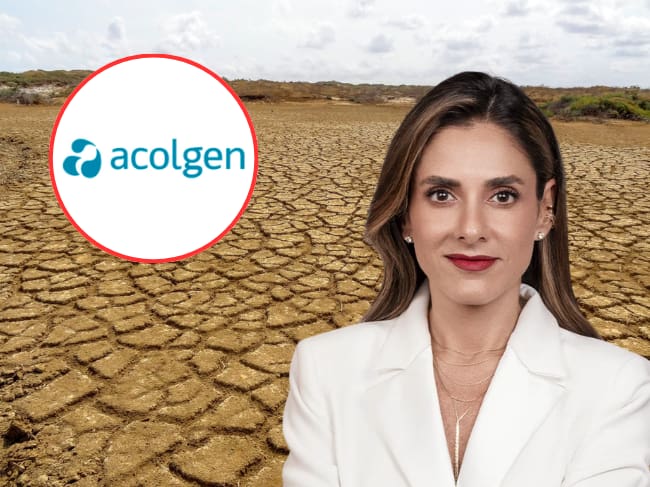 Presidenta de Acolgen, Natalia Gutiérrez, alerta sobre déficit de energía en el país. / Foto: Suministrada