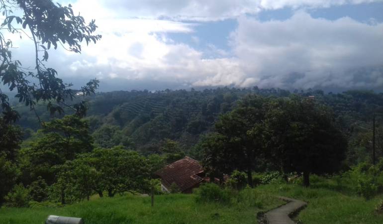 Facebook caracol radio Armenia 1150am línea whatsapp 3155681277 