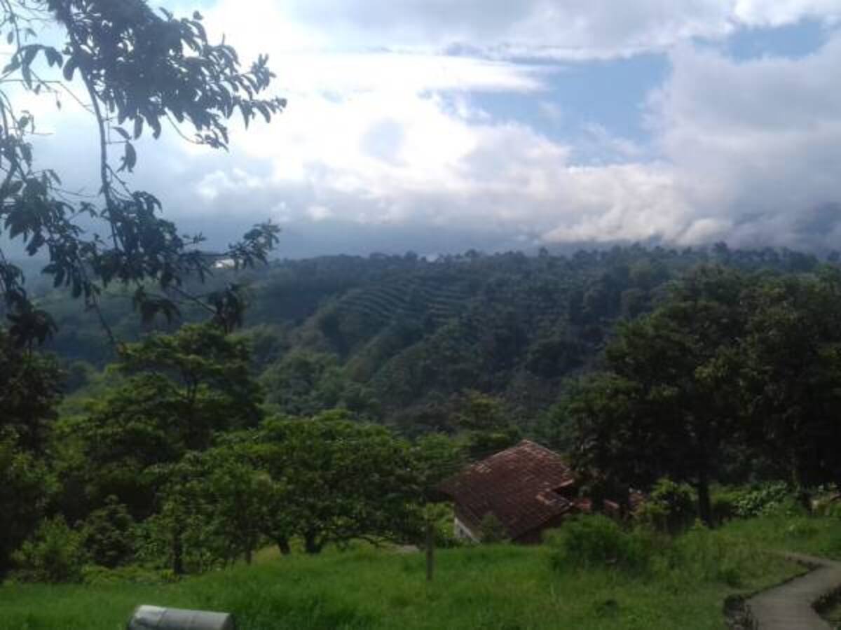 Martes 12 de junio, las noticias más importantes de Armenia y Quindío