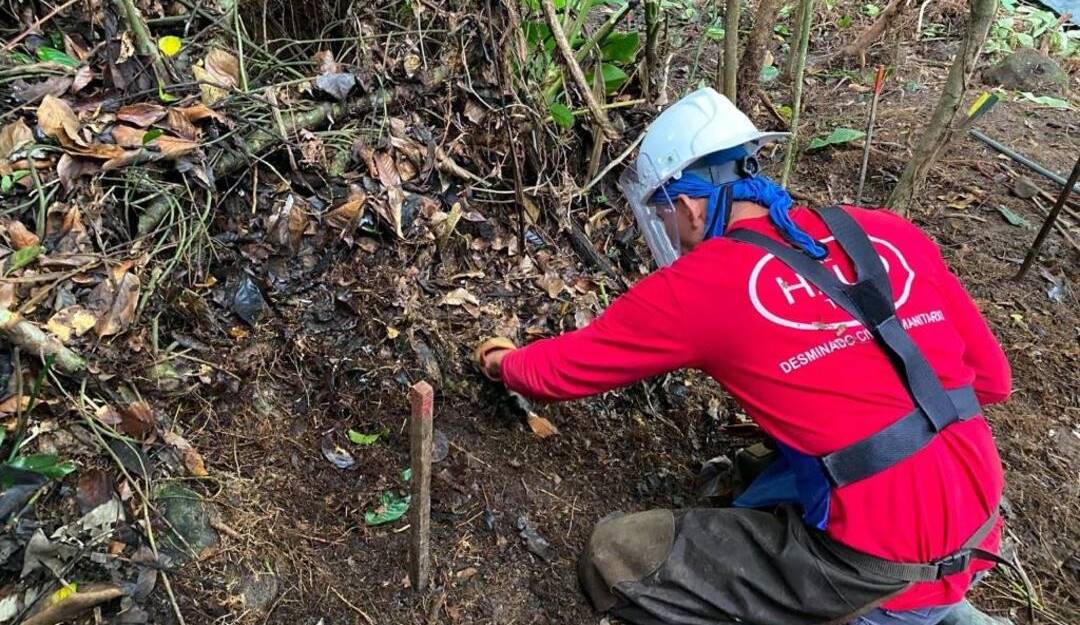 Foto: Cortesía de la Oficina del Alto Comisionado para La Paz