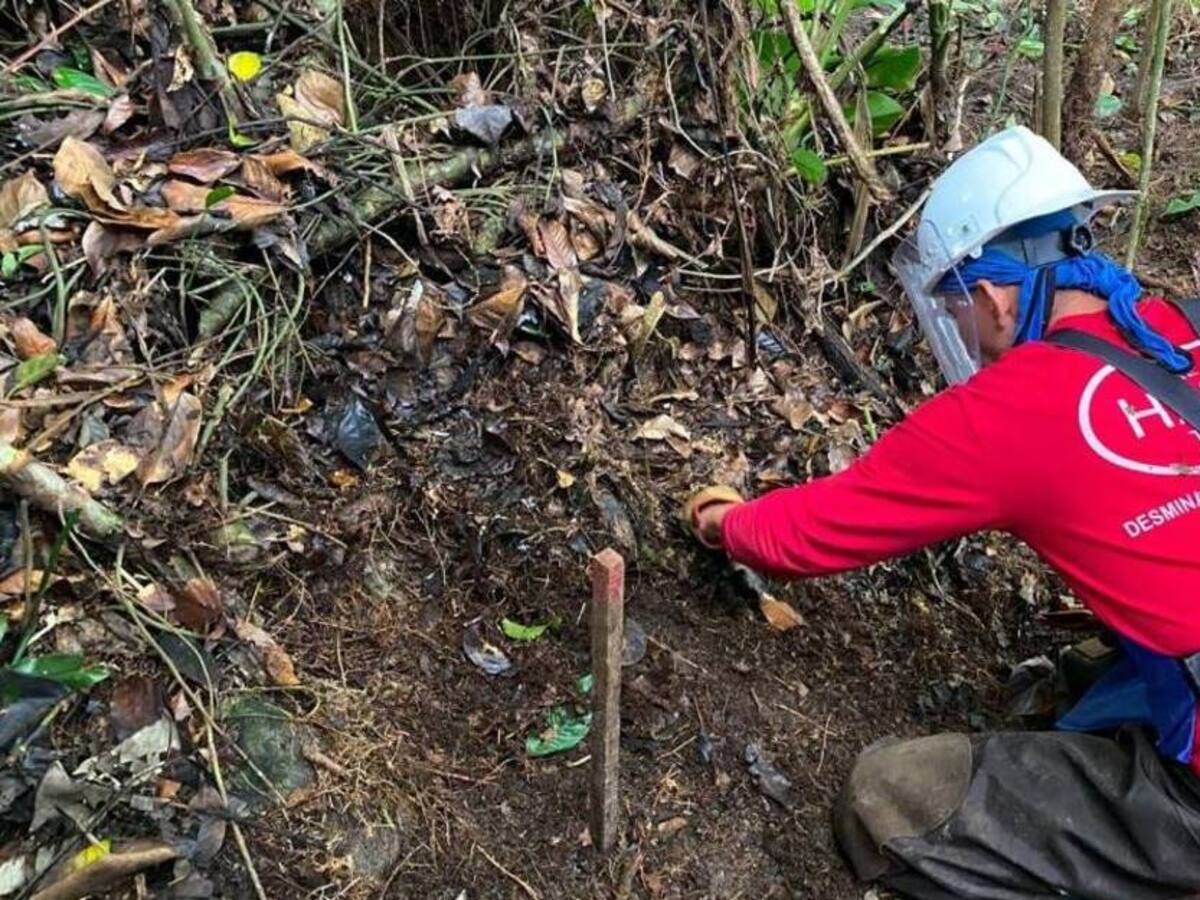 Alto Comisionado de Paz declarará 11 municipios como libres de minas antipersonal