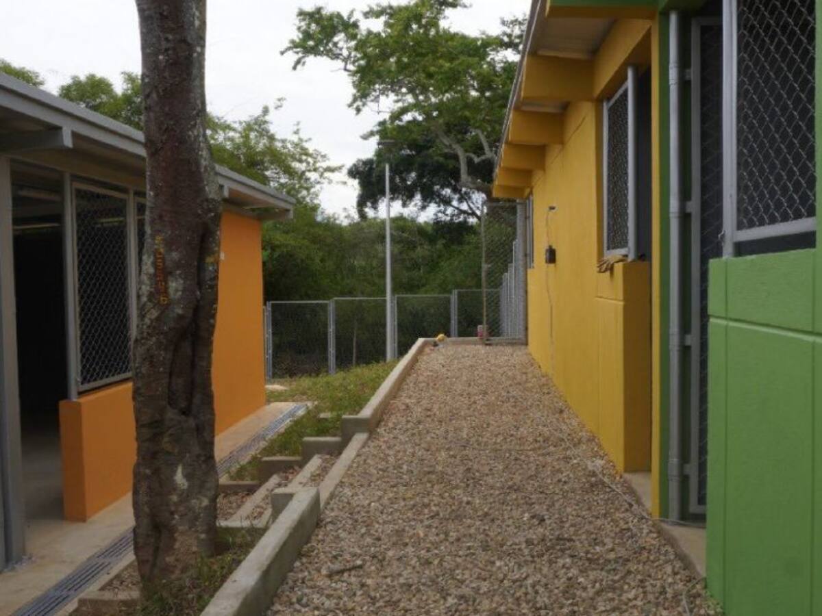 En junio operará la Unidad de Bienestar Animal en Bucaramanga