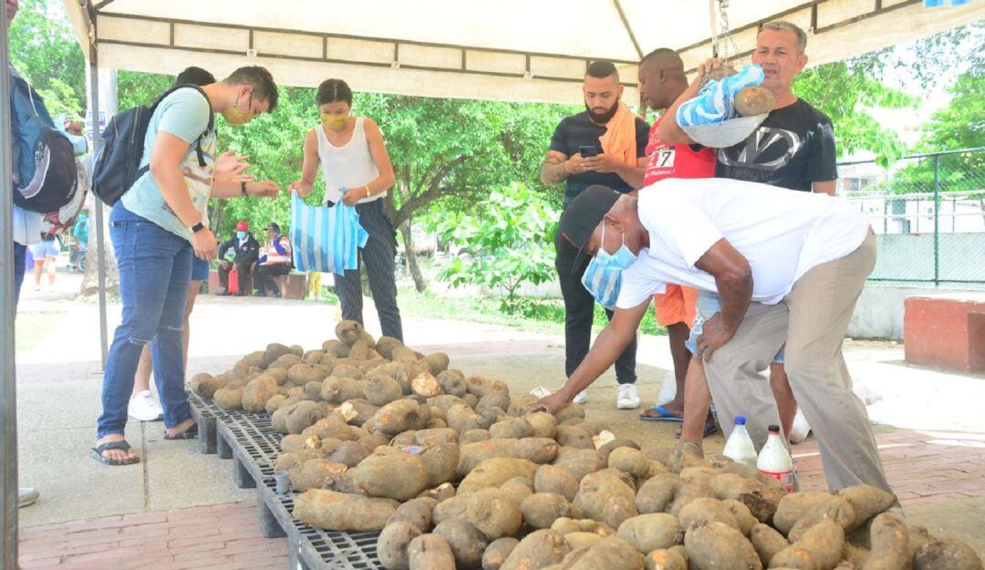 Residentes de Villa Hermosa, Pasacaballos, Ciudad Bicentenario, El Zapatero y Nuevo Paraíso, aprovecharon el kilo de ñame a $1.400