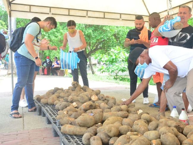Residentes de Villa Hermosa, Pasacaballos, Ciudad Bicentenario, El Zapatero y Nuevo Paraíso, aprovecharon el kilo de ñame a $1.400