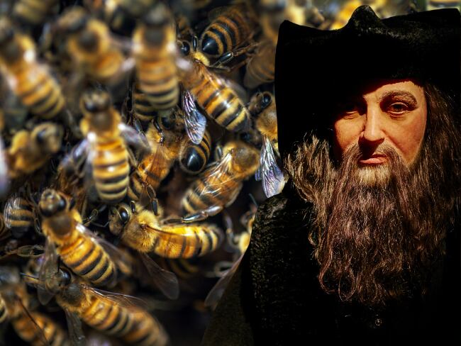 Preocupante profecía de Nostradamus para 2026: ¿Qué pasará con los ‘enjambres de abejas’?  Getty Images