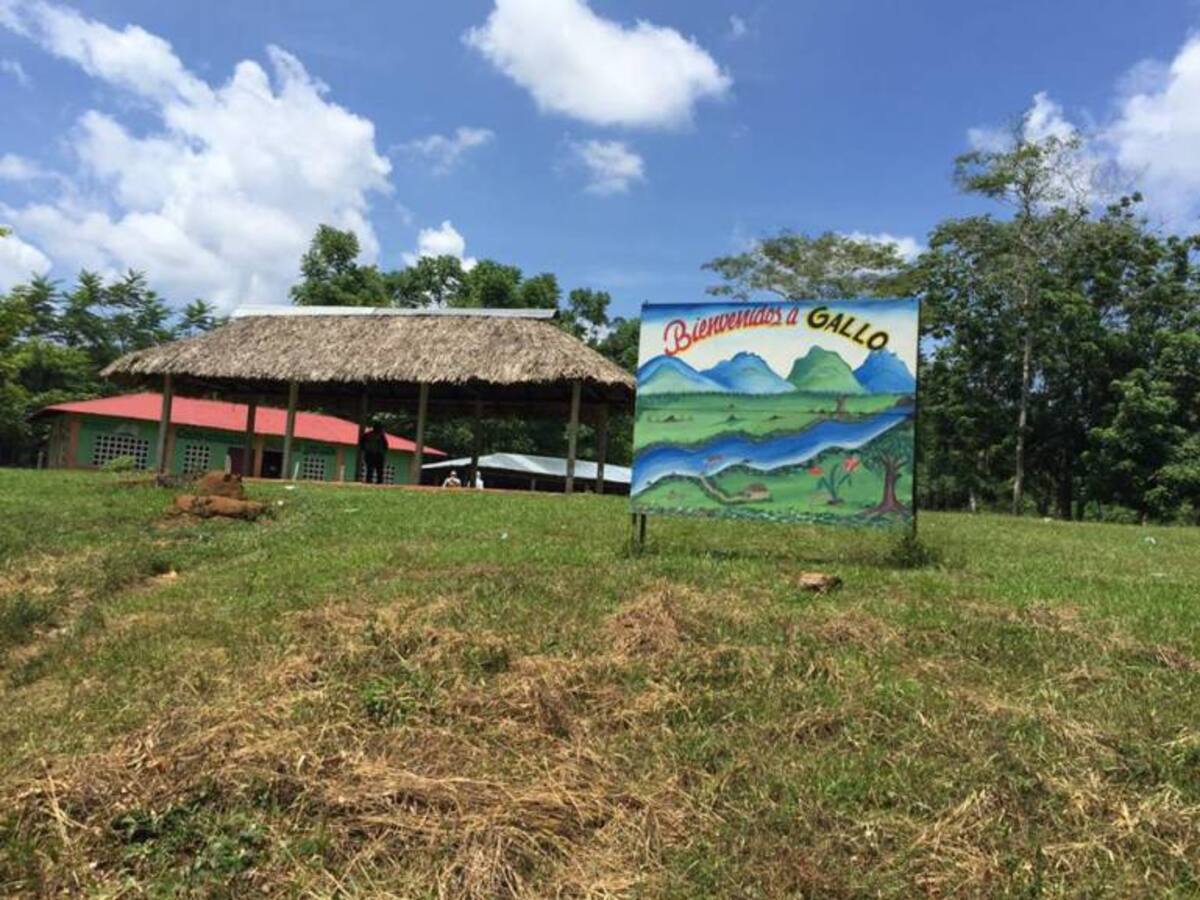 Cabecilla de las FARC en Córdoba habló con los habitantes de zona de concentración de Tierralta.