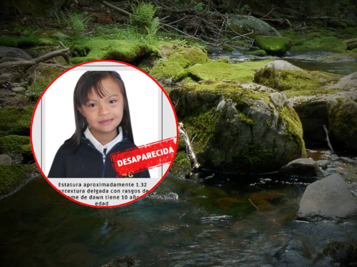 ¿Alguien se llevó a Valeria Afanador? Material e hipótesis de menor desaparecida en Cajicá: secretario