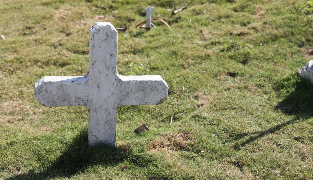 Imagen de referencia