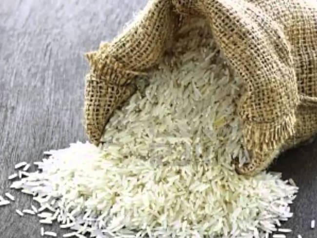 En riesgo siembra de arroz en el Tolima