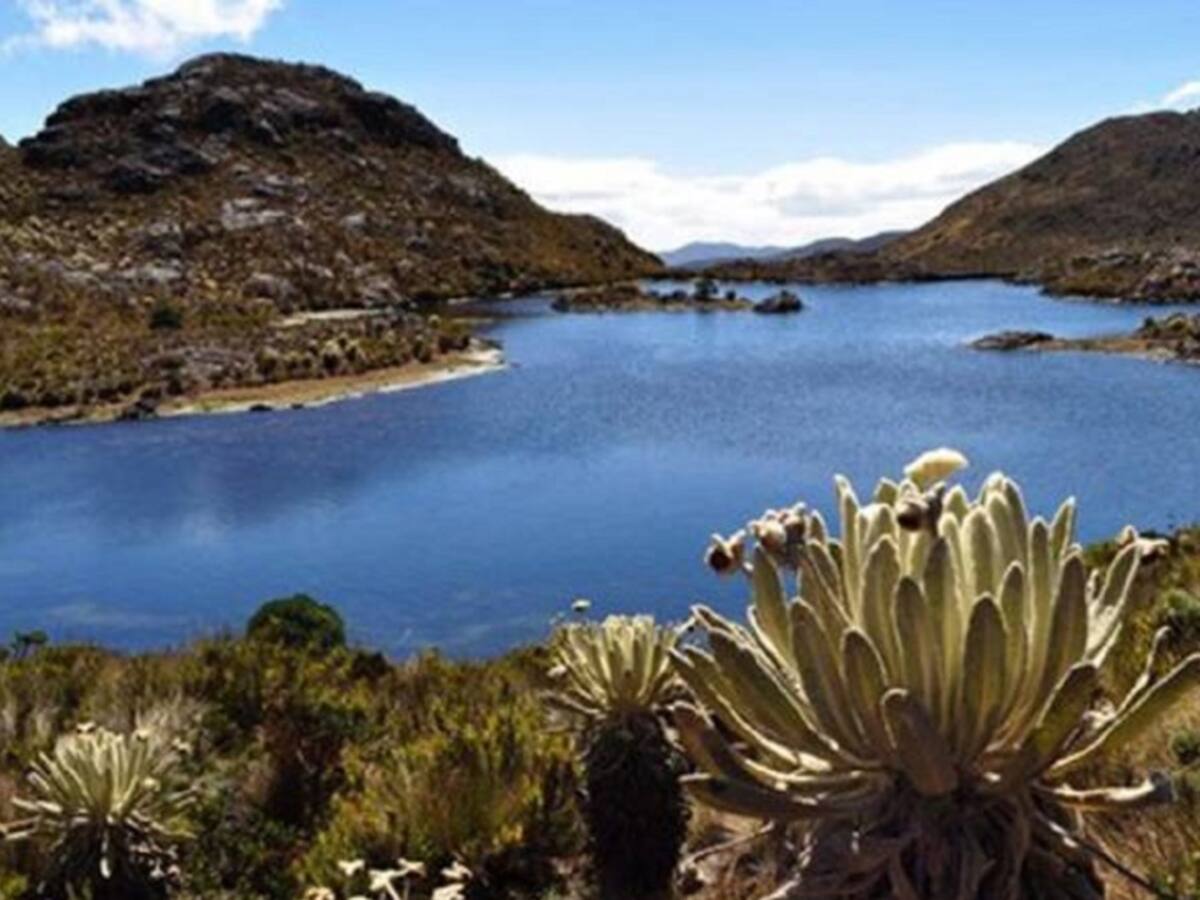 Congresistas nortesantandereanos piden explicación al Estado por Santurbán