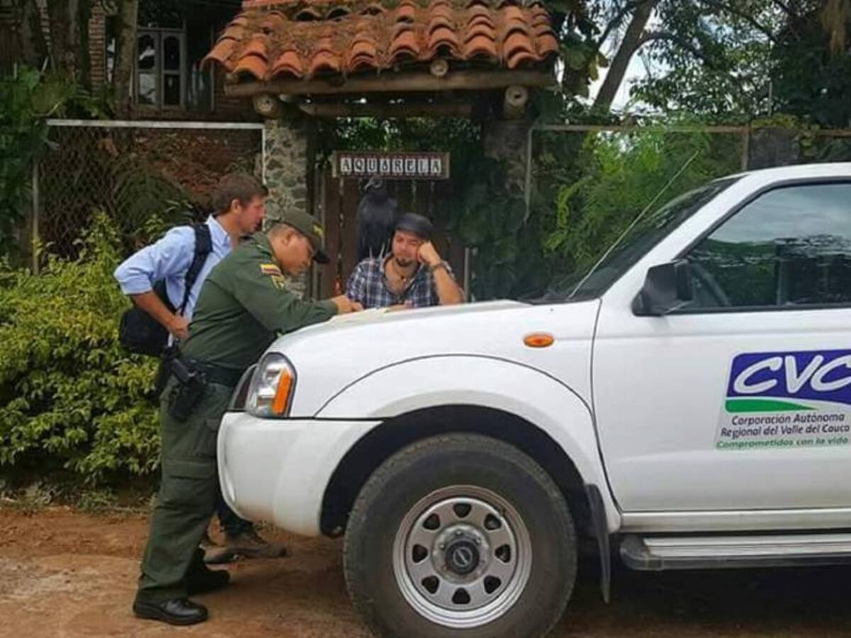 Por rehabilitar animales salvajes fue desalojado animalista en Cali