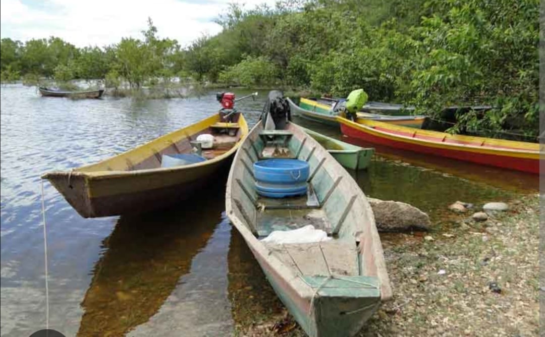 Eliseo Losada se encontraba en el puerto vendiendo la pesca realizada en la faena de la nocheanterior cuando dos hombres sin identificar accionaron un arma de fuego en su contra y sin
mediar palabra huyeron del lugar.