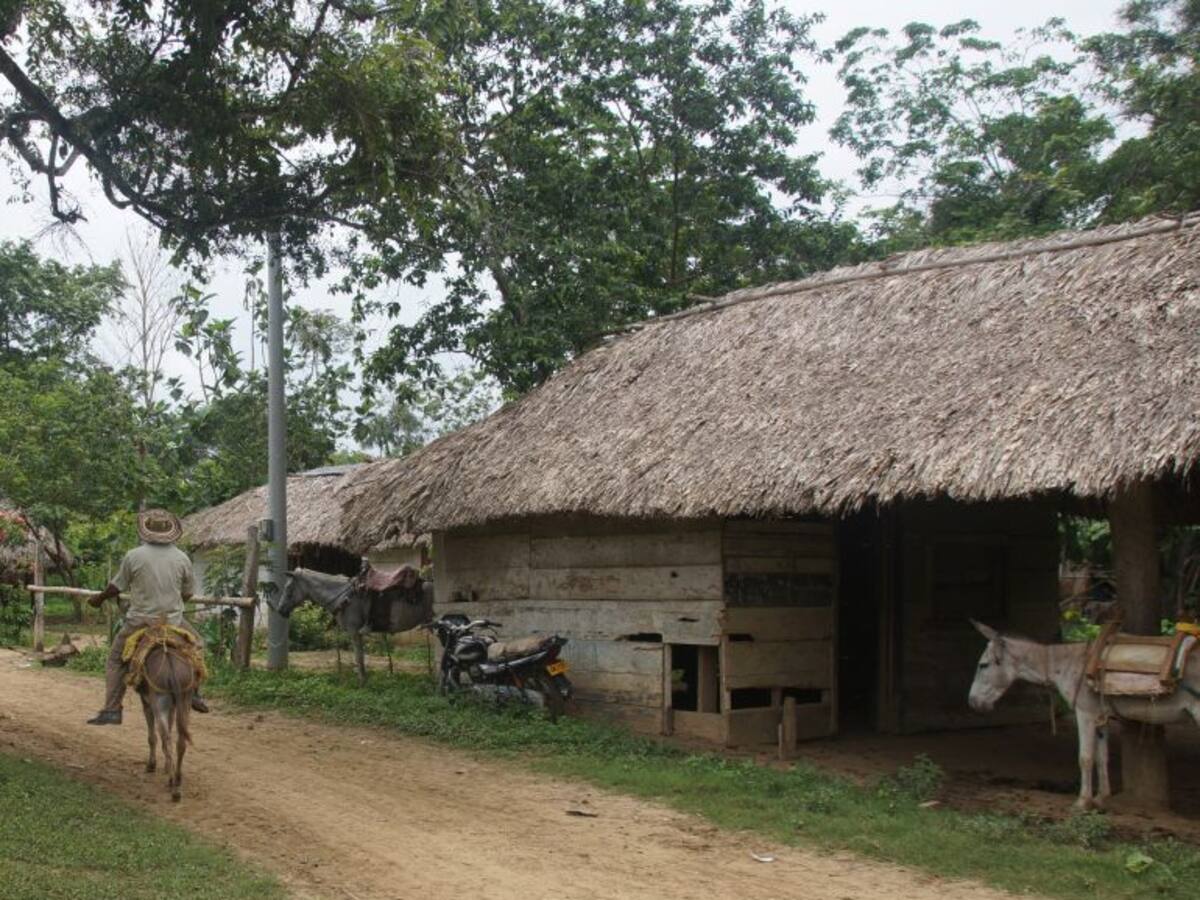Denuncian pocos avances en restitución de tierras en Antioquia, Córdoba y Chocó