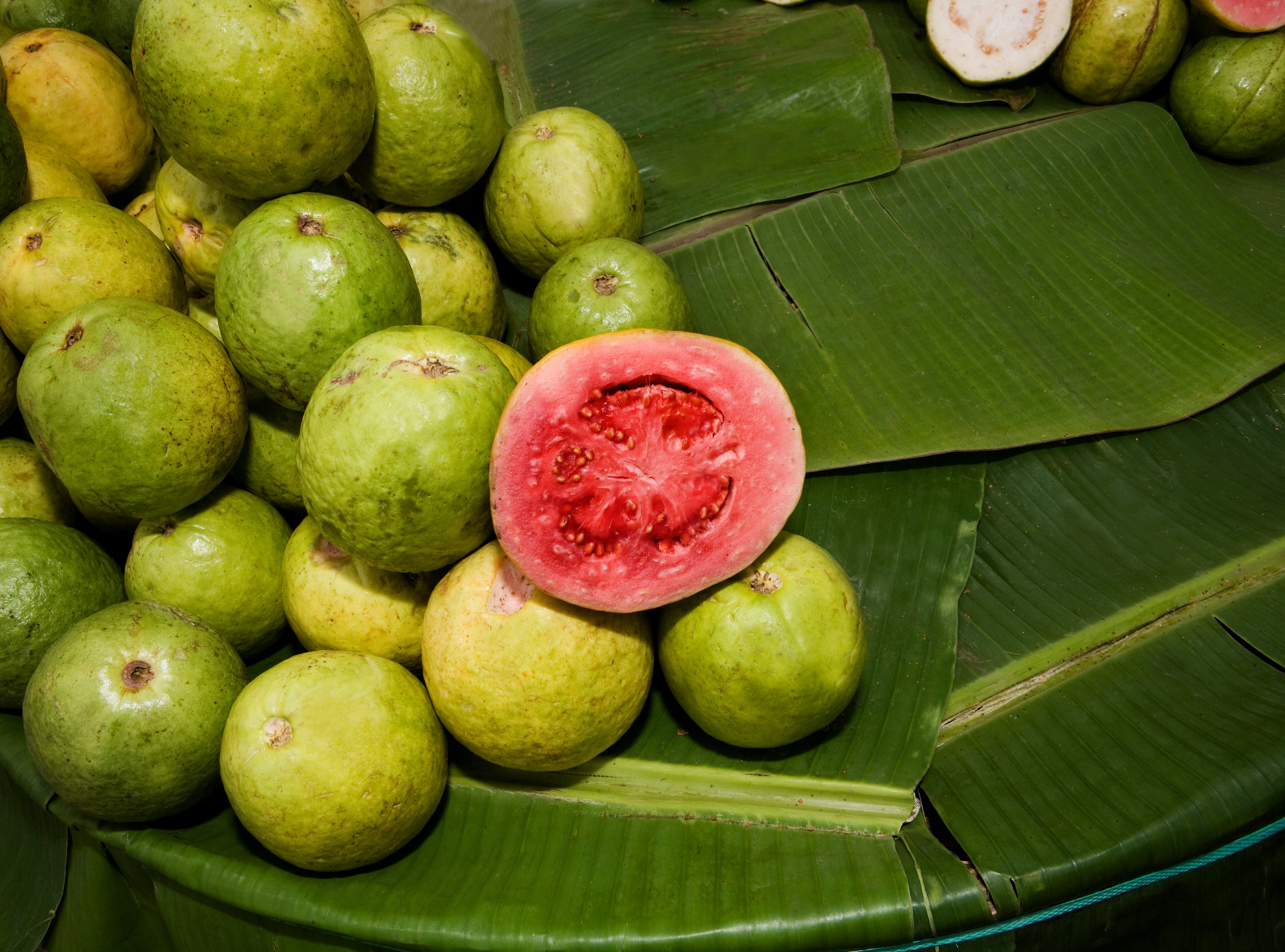Pros y contras de consumir guayaba todos los días - Getty Images