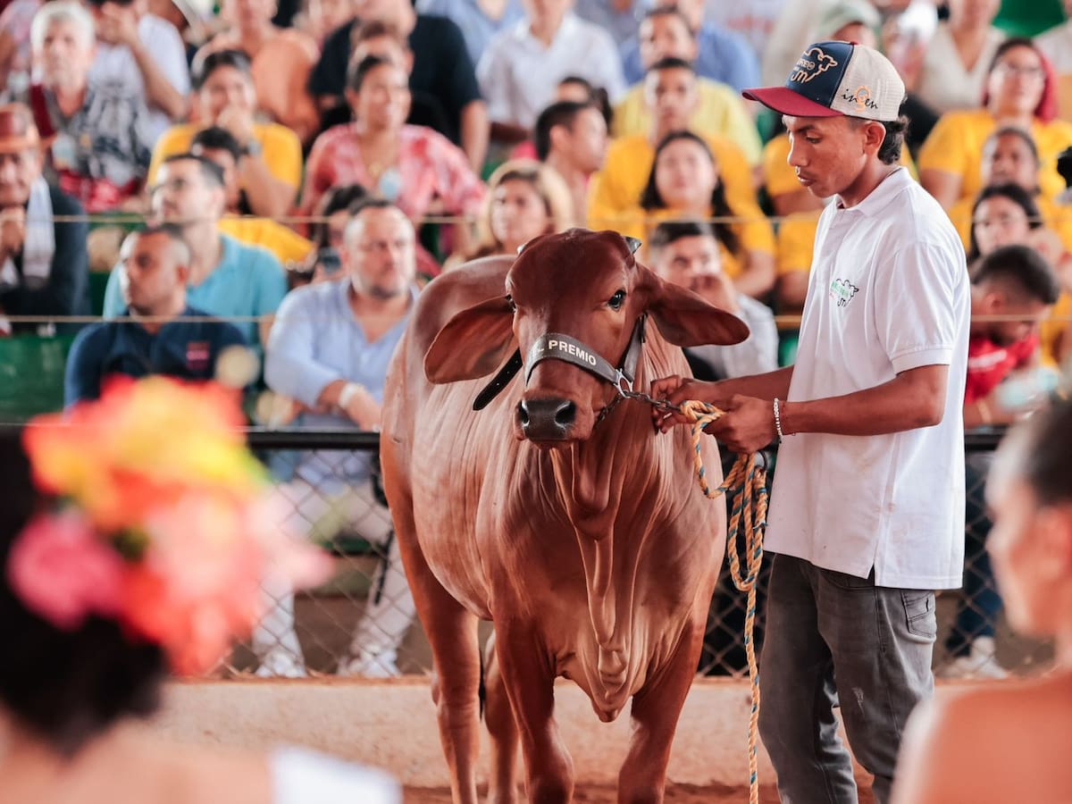 Feria Nacional de la Ganadería: Coliseo de Ferias reporta masiva asistencia de público