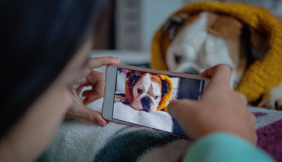 ¿Fotos con mala calidad? Con esta página arreglara sus fotos en minutos