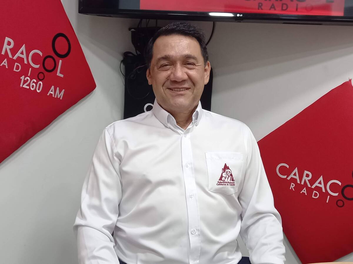 Renovación de cafetales será una de las prioridades del gremio en el Tolima en 2023